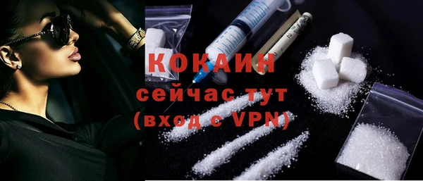 бошки Коряжма