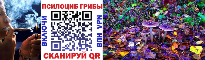 Галлюциногенные грибы MAGIC MUSHROOMS  мега зеркало  Лукоянов  цены наркотик 